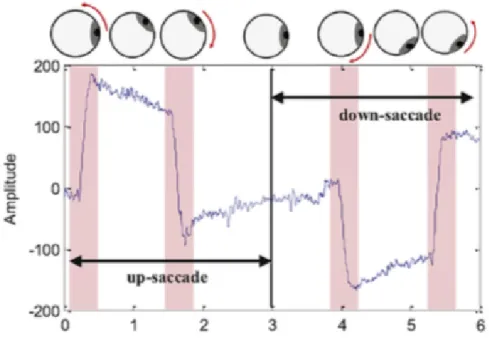 Figure 1.1: Waveform of an EOG signal [1]