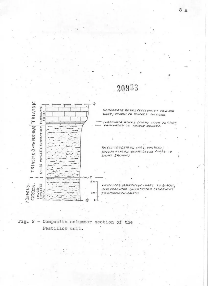 Fig. 2 Composite columnar section of 4L--.he Pestillos unit.