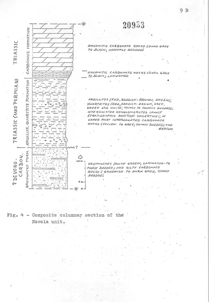 Fig. 4 Composite columnar section of the Navela unit.