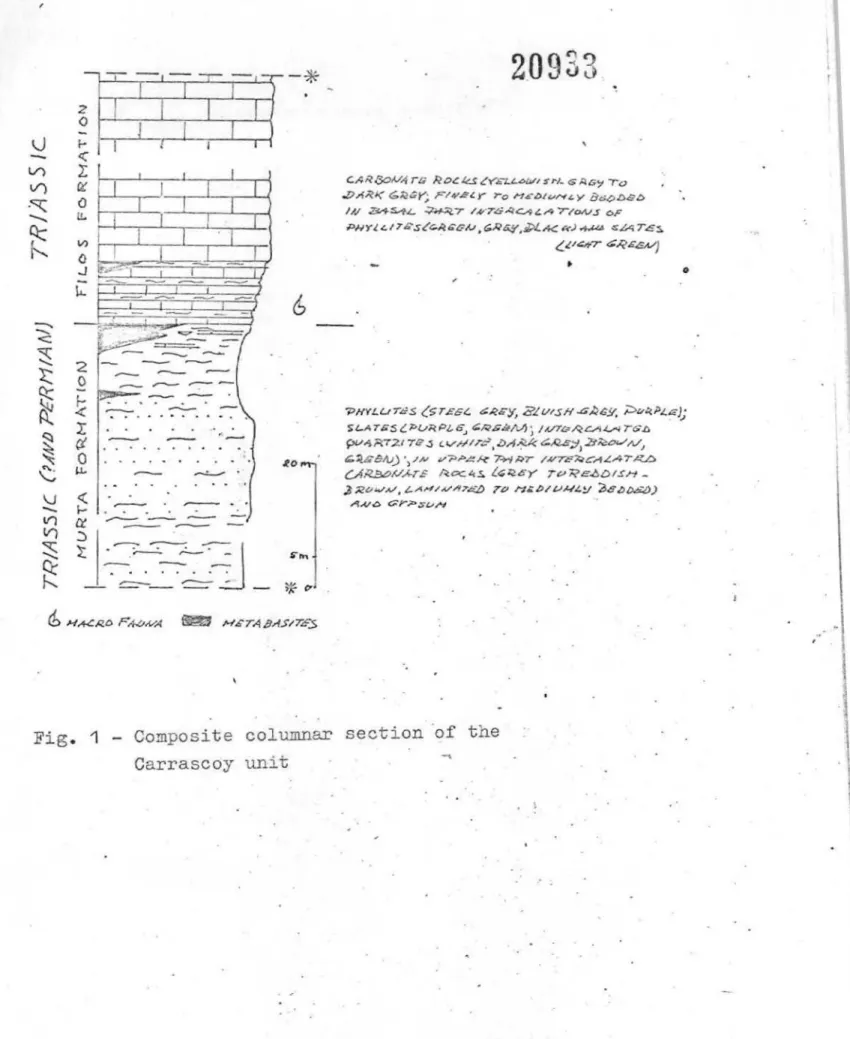 Fig. 1 Composite columnar section of the Carrascoy unit