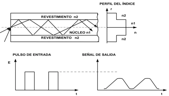 Fig. 1.1 Transmisión de la luz por el interior de una fibra óptica multimodo con índice  escalonado