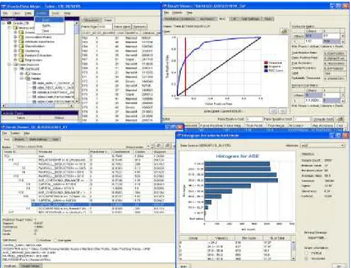 Figura 11: Software de análisis  Oracle 10.2 Data Miner. 