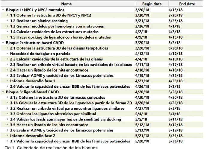 Fig 1. Calendario de realización de los bloques. 