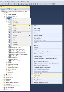 Figura 3 - Procés d'importació de dades a SQL Server. 