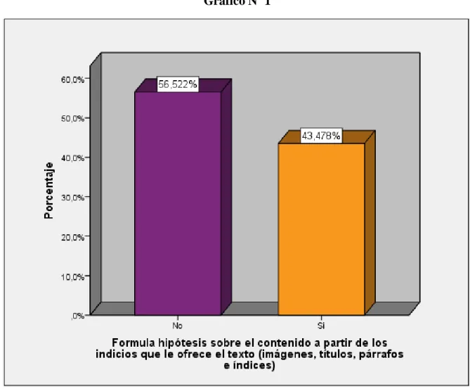 Gráfico Nº 1 