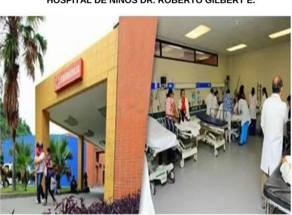 GRÁFICO N O  1 
