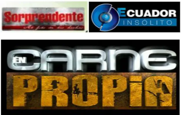 Figura 2 Programas nacionales  