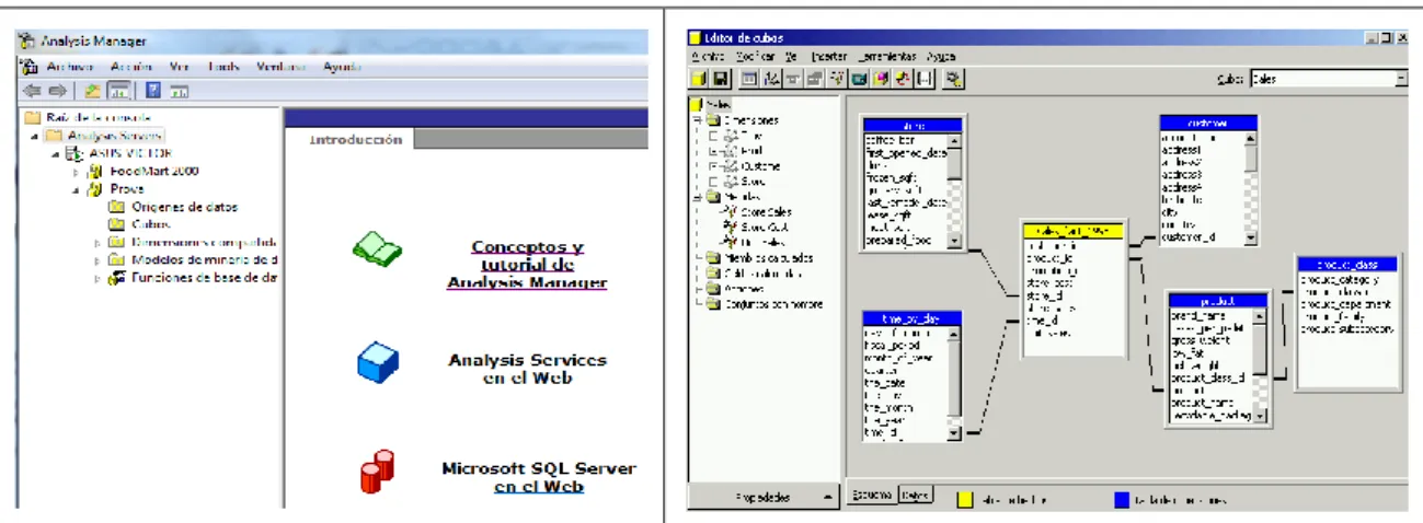 Figura 10: Analisis Manager de Microsoft 