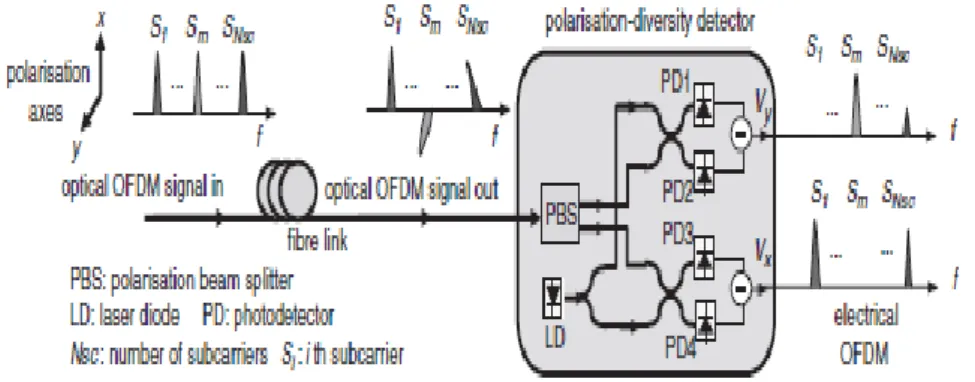 Figura 4. Receptor CO-OFDM robust a PMD. 