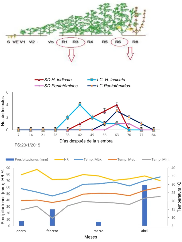 Figura 7. Incidencia de H. indicata y el complejo de pentatómidos en labranza convencional  (LC) y siembra directa (SD), su relación con la fenología y las variables climáticas (2015) 