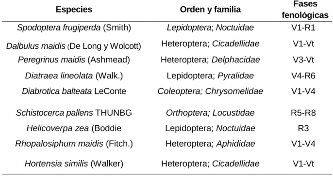 Tabla 5. Inventario de las especies fitófagas asociadas al maíz (Riqueza específica) 2012- 2012-2014 
