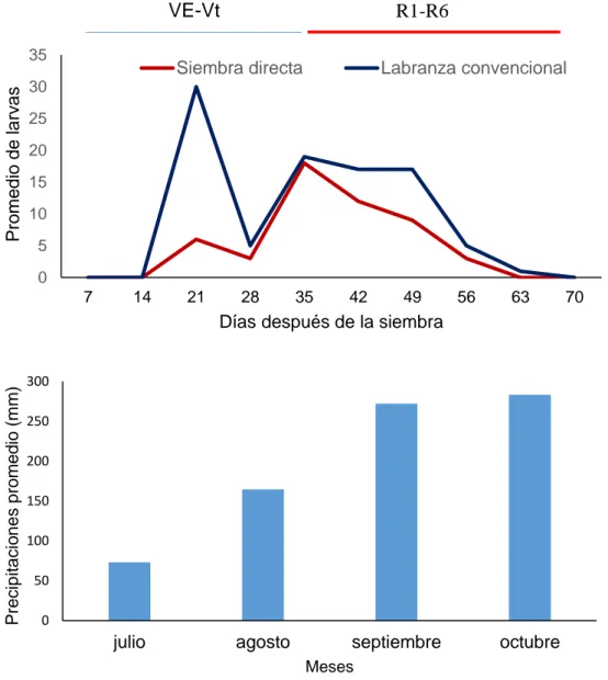 Figura 10. Dinámica poblacional de S. frugiperda (2012-2014) y su relación con las  precipitaciones  05101520253035714212835 42 49 56 63 70Promedio de larvas