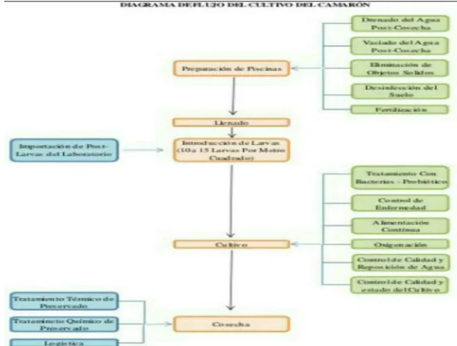 Figura  1. Ejemplo de Manual de Procedimiento. 