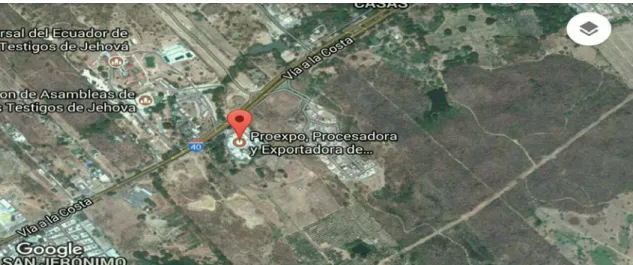 Figura  2. Ubicación de la empresa en mapa. 