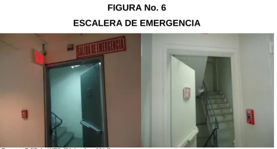 FIGURA No. 6 