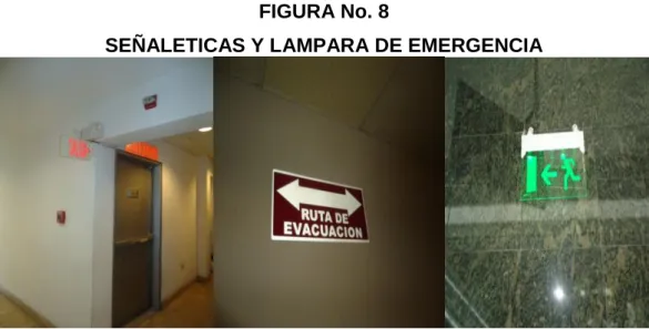 FIGURA No. 8 
