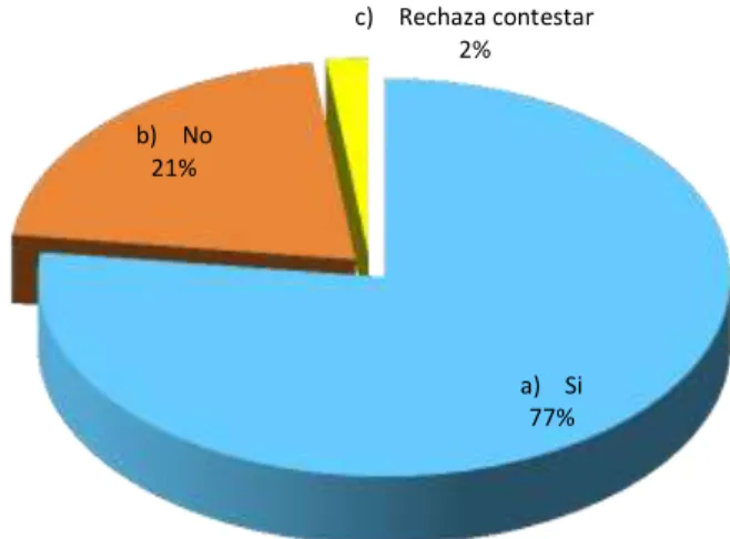 GRÁFICO N° 9 