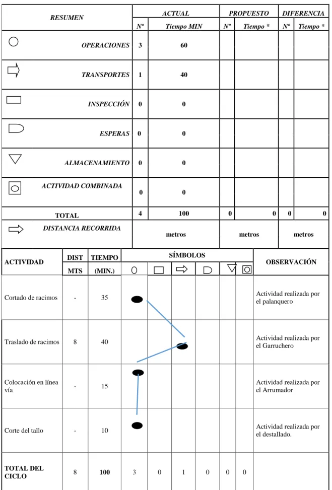 Figura  18.  Cursograma  analítico  del  proceso  de  cosecha.  Información  tomada  de  la  empresa  sujeta  al  estudio