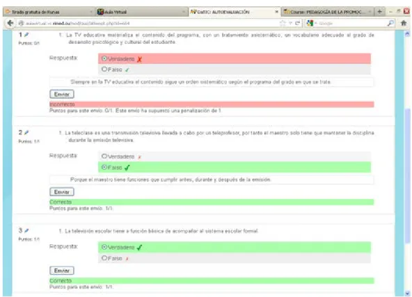 Figura 4. Ejemplo de cuestionario de autoevaluación  