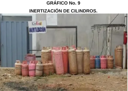 GRÁFICO No. 9 