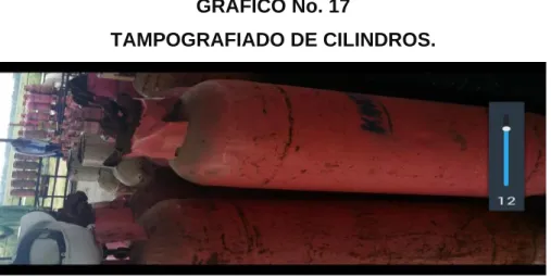 GRÁFICO No. 17 