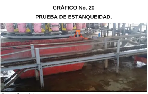 GRÁFICO No. 20 