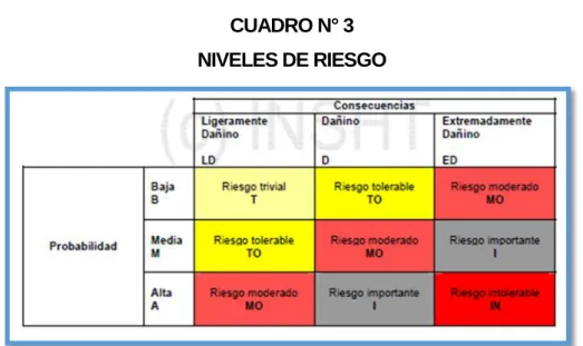 CUADRO N° 3  NIVELES DE RIESGO 
