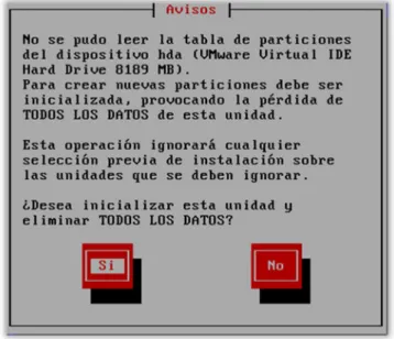 Figura D.3. Interfaz de aviso para particionar el disco duro que se asigna al servidor Elastix