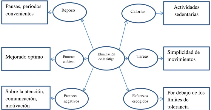 Figura 9. Medios para combatir la fatiga. Elaborado por el autor.     Eliminación de la fatiga Reposo Entorno ambiental Factores negativos  Tareas Esfuerzos escogidos Calorías   Actividades sedentarias Pausas, periodos convenientes Mejorado optimo Sobre la