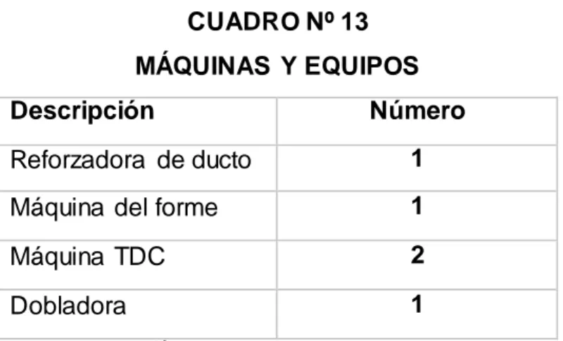 CUADRO Nº 13  MÁQUINAS  Y EQUIPOS 