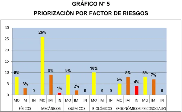 GRÁFICO N° 5 