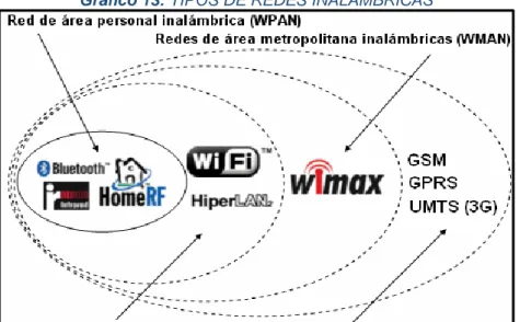 Gráfico 13: TIPOS DE REDES INALAMBRICAS 