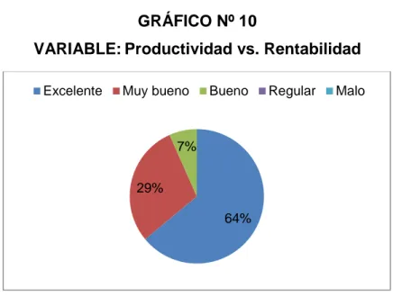 GRÁFICO Nº 10 