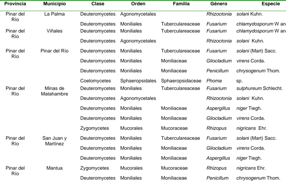Tabla 5. Hongos asociados a las pudriciones en el género Xanthosoma en la región occidental 