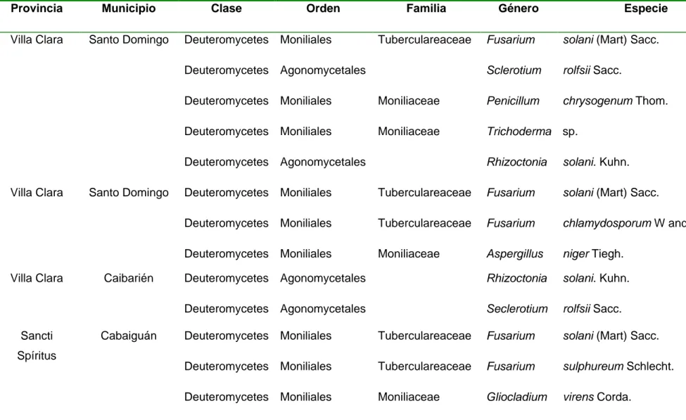 Tabla 6. Hongos asociados a las pudriciones en el género Xanthosoma en la región central 