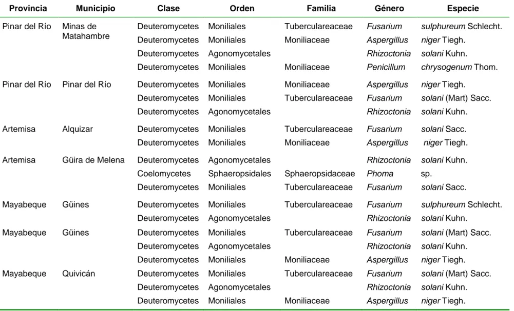 Tabla 8. Hongos asociados a las pudriciones en el género Colocasia en la región occidental 