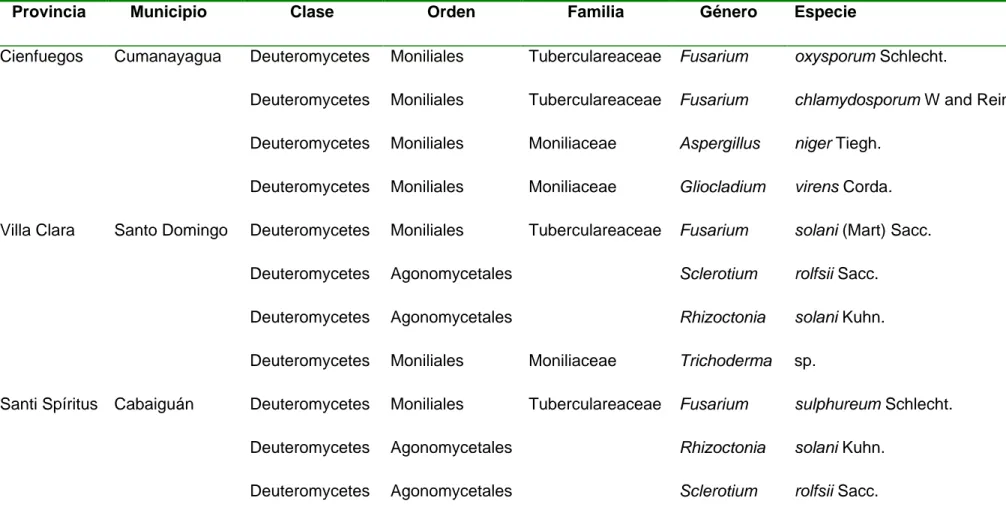 Tabla 9. Hongos asociados a las pudriciones en el género Colocasia en la región central 