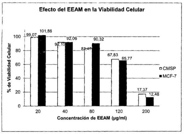 Figura 8.  Efecto del  EEAM  sobre  la Viabilidad  Celular de  CMSP y MCF-7.  Los  valores  de  porcentaje  de  Viabilidad  Celular corresponden  al  promedio  de  las  tres  repeticiones  probadas en el  experimento