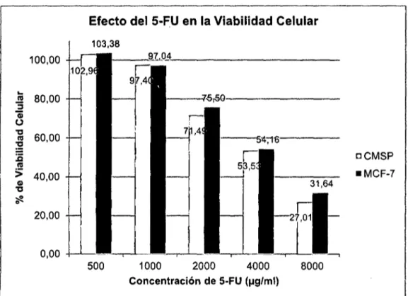 Figura  9.  Efecto  del  5-FU  sobre  la  Viabilidad  Celular  de  CMSP  y MCF-7.  Los  valores  de  porcentaje  de  Viabilidad  Celular corresponden  al  promedio de  las tres  repeticiones  probadas en  el  experimento
