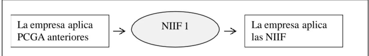 Figura 3. Adopción por primera vez de las NIIF  Fuente: Elaboración propia 