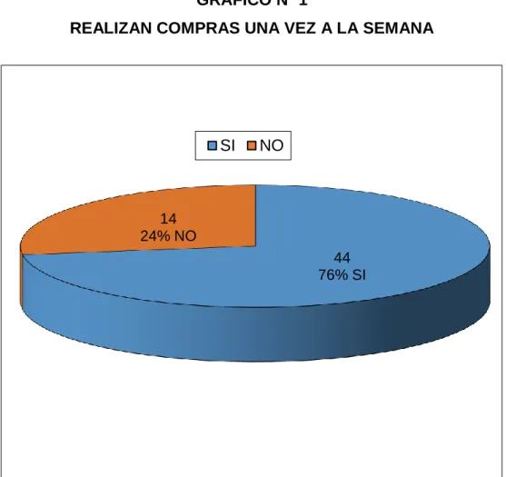 GRÁFICO Nº 1 