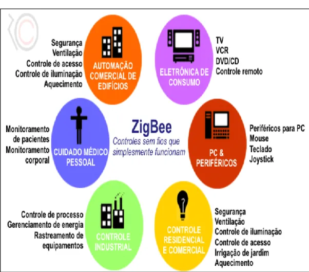 GRÁFICO N° 11 