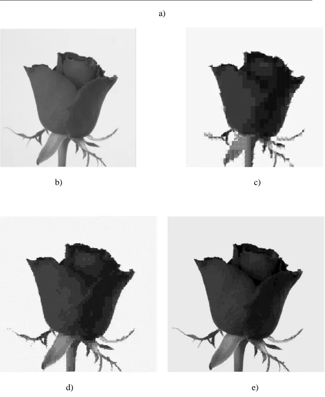 Figura 3.1. Imágenes del algoritmo LBG. a) Imagen original en colores. b) Imagen  original en escala de grises