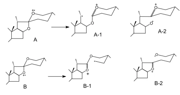 Fig. 3. Fragmentación del ion molecular                                                   