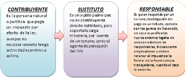 Figura 2: Tipos de sujetos pasivos 