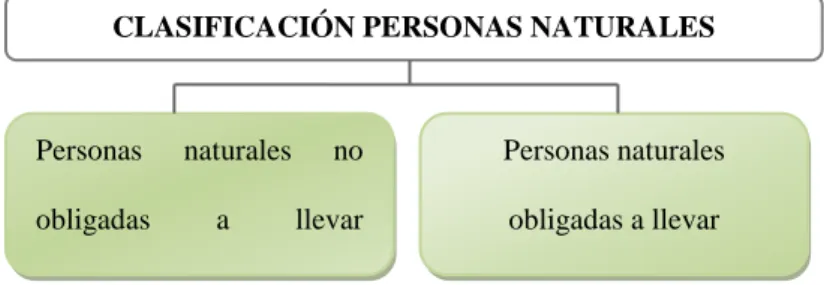 Figura 4: Clasificación personas naturales 