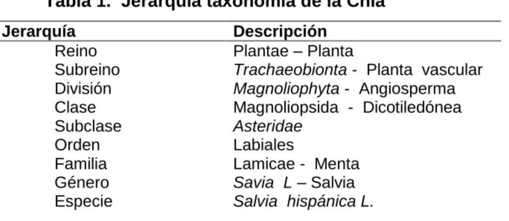 Tabla 1.  Jerarquía taxonomía de la Chía 