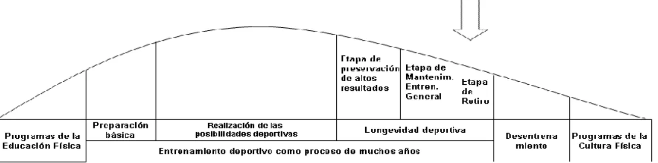 Gráfico 1: Procesos y etapas de la preparación deportiva. Barroso (2010).  