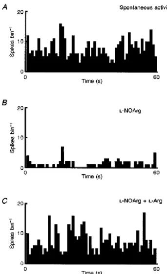 Figure 2 The suppressive effect of NOS inhibition on spontaneous activity 