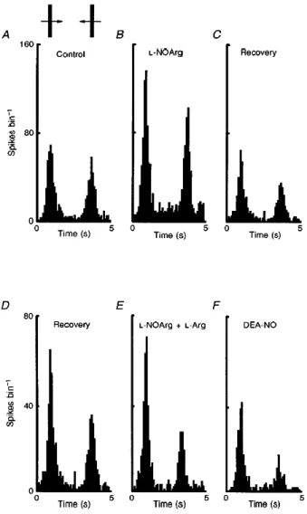 Figure 8 Excitatory effect of NOS inhibition on 5% of the cell population 